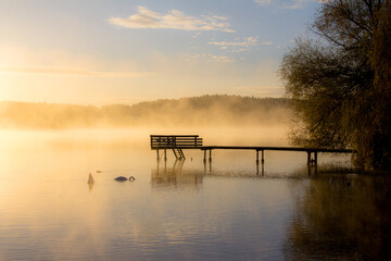 Steg, Sonnenaufgang am See, Baden, Nebel, Stimmung