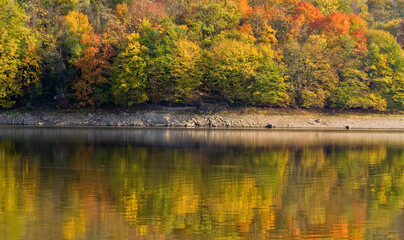 Autumn lake and forest, landscape. Lazberc, Hungary. 