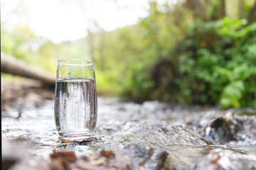 a glass of clean transparent drinking water in a transparent glass on a stone in a green forest...