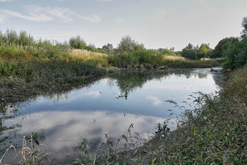 Shallow, swampy forest lake. Outdoor recreation.