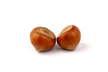 Group of hazelnuts, isolated on white background