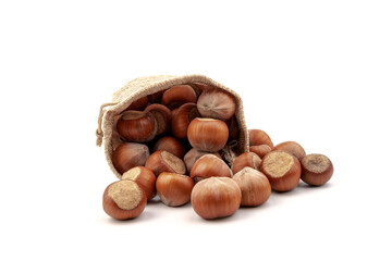 fresh hazelnuts in a canvas bag on white background