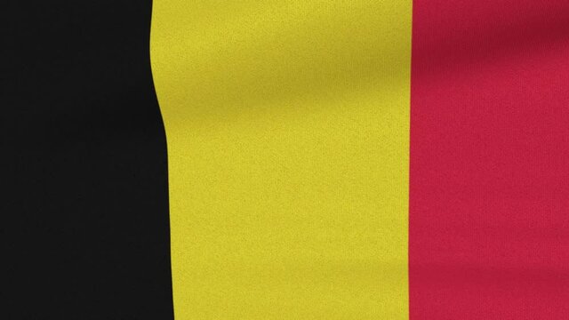 Loop Waving Flag Belgium Land 3D Closeup