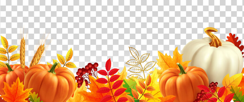 White and yellow pumpkins, orange leaves on transparent background. Autumn festival invitation. Border from autumn leaves and pumpkins. Postcard or banner. 3d realistic vector illustration.