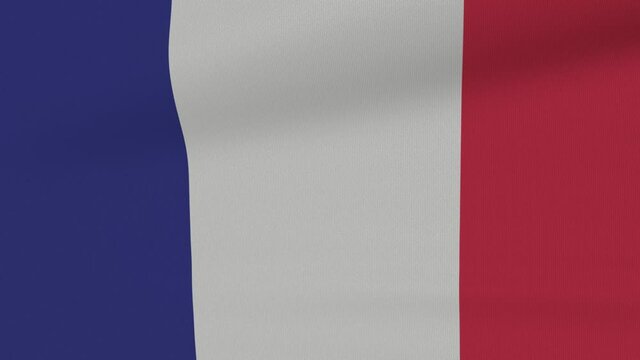 Loop Waving Flag France Land 3D Closeup