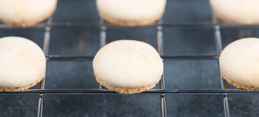 Anis biscuits, german traditional christmas sweets