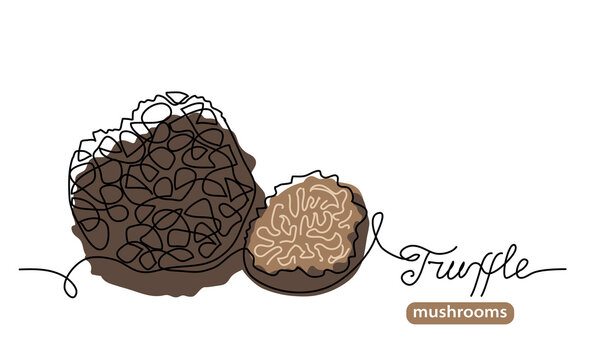 Black truffle wild mushrooms one line art drawing. Simple vector line illustration with lettering truffle mushrooms
