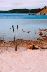 Nordic walking sticks are parked on the shore for a rest and a view of the sea. Concept: active lifestyle