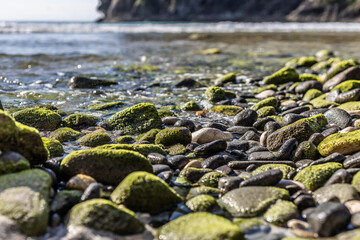 Obraz premium stones on the beach