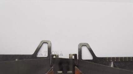 national cat day typed words on a vintage typewriter