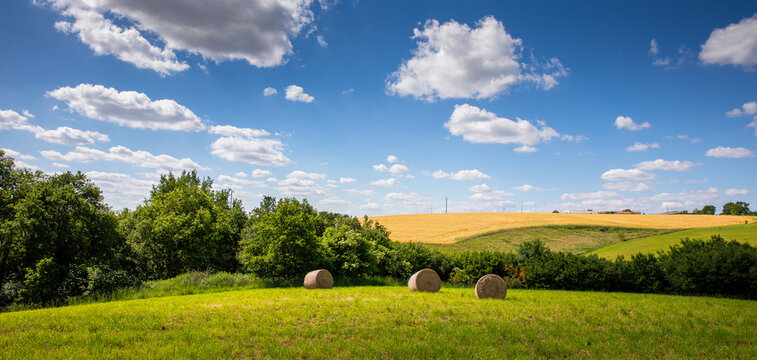 Paysage de campagne au printemps en France, meule de foin dans les champs. © Thierry RYO