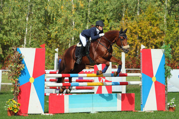 Equestrian girl with sportive horse jumping obstacle 