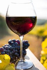 Verre de vin rouge dans la lumière et grappe de raisin.