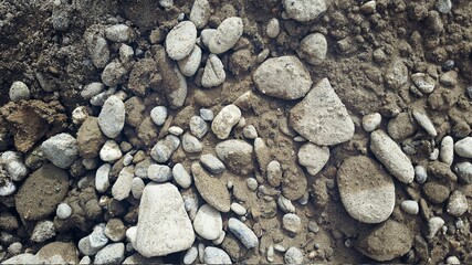 Background wallpaper