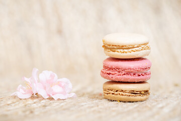 French pink macarons on beige background