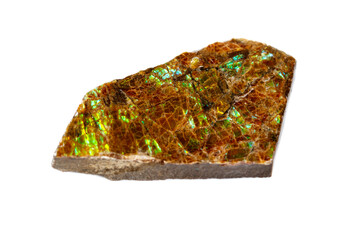 Macro of the mineral stone ammolite on white background