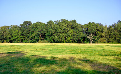 View across Hayes Common in Hayes, Kent. Sunlight and shadows on the grass in the late afternoon with trees and clear blue sky. Hayes Common is in the Borough of Bromley (Greater London), Kent, UK.