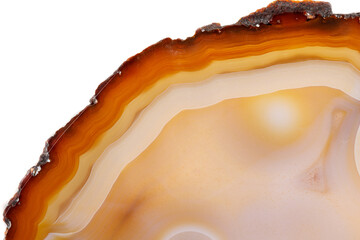 Macro mineral stone Yellow, brown Agate breed a white background close up