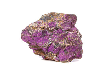 Fototapeta premium Macro mineral stone purpureus, (purple) purpurite in the breed a white background