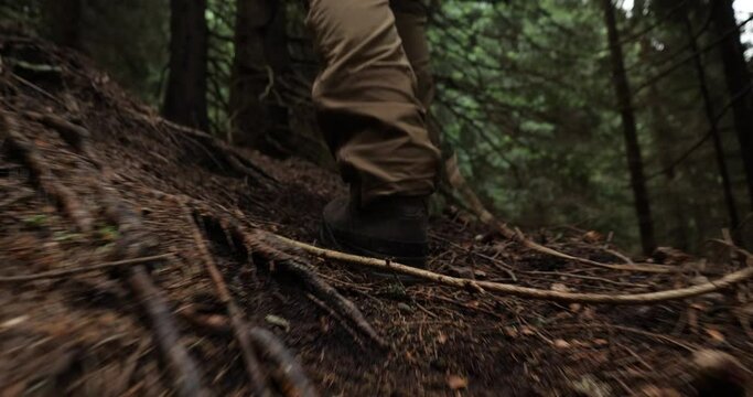 Hiker's feet walking in the mountain forest. Man walking in the woods trail. Feet in Hiking Boots Walking through the Mountain Forest. Walking through woodland. Low angle of a Young boy 