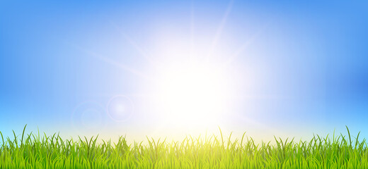 Fototapeta na wymiar Beautiful spring or summer background illustration with green grass and sunrise landscape. Field under the sunlight. Realistic wallpaper for banner, poster, flyer. Image JPG