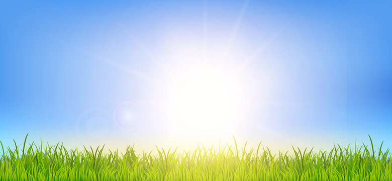 Beautiful spring or summer background illustration with green grass and sunrise landscape. Field under the sunlight. Realistic wallpaper for banner, poster, flyer. Image JPG