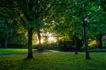 The Knoll, a small park in Hayes, Kent, UK. Trees in The Knoll park with the sun behind and sunlight filtering through the leaves. Hayes is in the Borough of Bromley in Greater London.