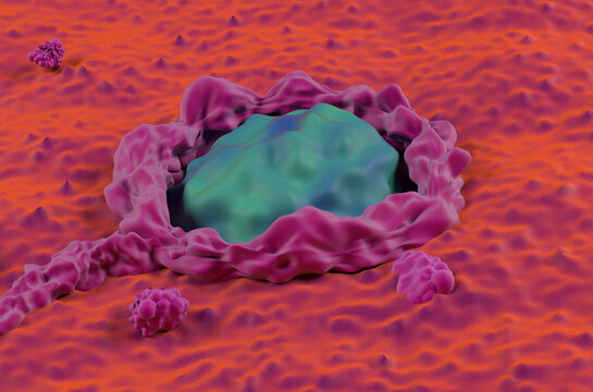 Cancerous colon surface super macro colorectal cancer closeup view 3d illustration