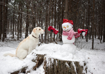 white dog sits near a cute snowman in a Santa hat and a striped scarf and looks at him with interest. Winter season in a snowy forest. Friendship, humor, Christmas holidays