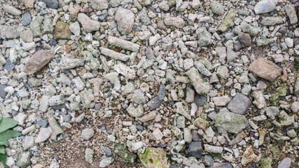 coral and shell fragments background texture