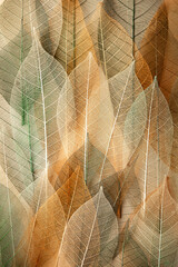Fototapeta Background from artificial autumn leaves, closeup obraz