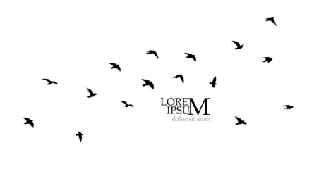 A large flock of flying birds. Free birds. Vector illustration