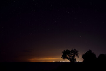 Picturesque view of starry sky at night on seaside