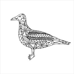 Fototapeta na wymiar Vector illustration of seagull. Monochrome hand drawn doodle. Patterned vector illustration. Sketch for coloring page, tattoo, poster, print, t-shirt