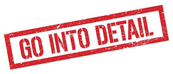 GO INTO DETAIL red grungy rectangle stamp.