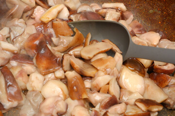 The boletus is fried in a pan. Cooking porcini mushrooms in a frying pan close-up view. delicious and fresh porcini mushrooms are cooking