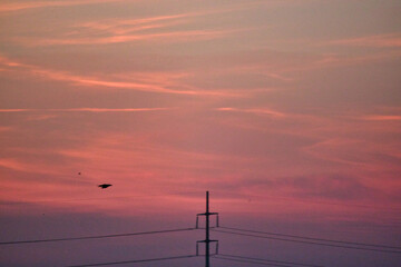 &ldquo;There was a star riding through clouds one night, & I said to the star, 'Consume me'.&rdquo;