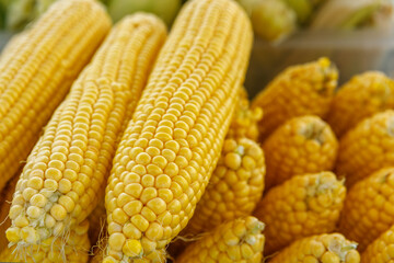 Ears of boiled delicious corn close-up.