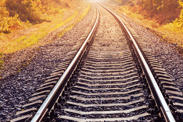Railway tracks abandoned in autumn forest among trees and green grass along them. Railway...