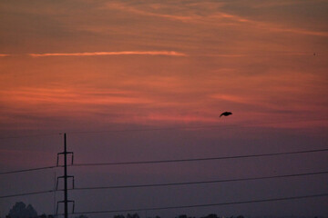 &ldquo;There was a star riding through clouds one night, & I said to the star, 'Consume me'.&rdquo;