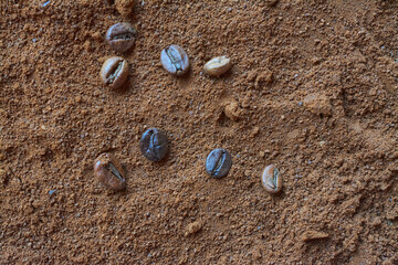 several coffee beans on a ground background