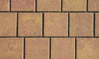 Paving slabs in close-up.