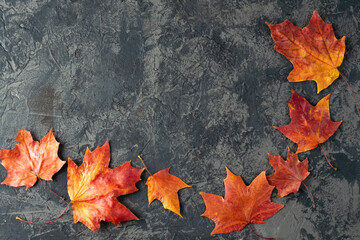 autumn flat lay frame made of red autumn leaves on a black table