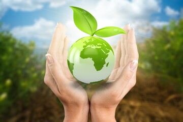 Hand holding green leaves for renewable sustainable development. Ecological concept.