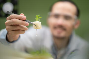scientist working to research in agriculture green plant at biology science laboratory greenhouse,...