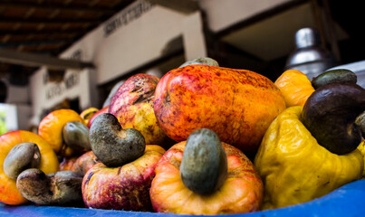 Cashew Nut, Apple, close-up, route of emotions, Vassouras, Brazil