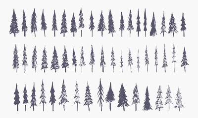 set of hand drawn winter trees (vector sketched spruce, fir and xmas trees)