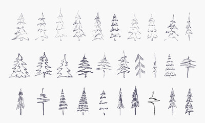 set of hand drawn winter trees (vector sketched spruce, fir and xmas trees)