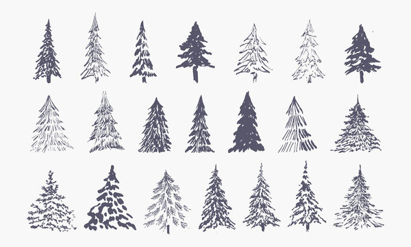 set of hand drawn winter trees (vector sketched spruce, fir and xmas trees)
