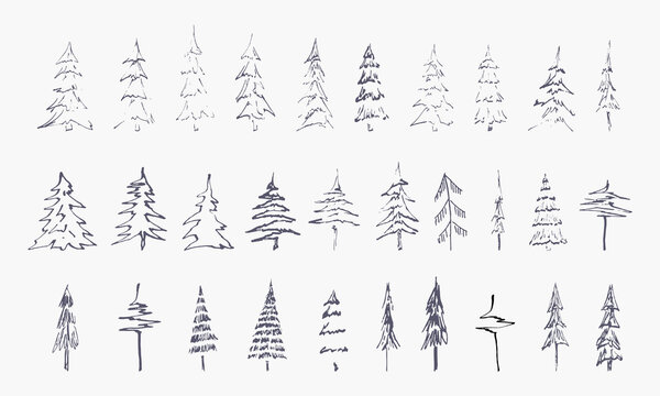 set of hand drawn winter trees (vector sketched spruce, fir and xmas trees)